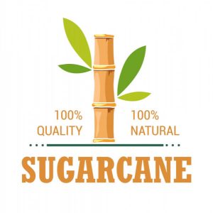 Wholesale Sugar Organic Cane